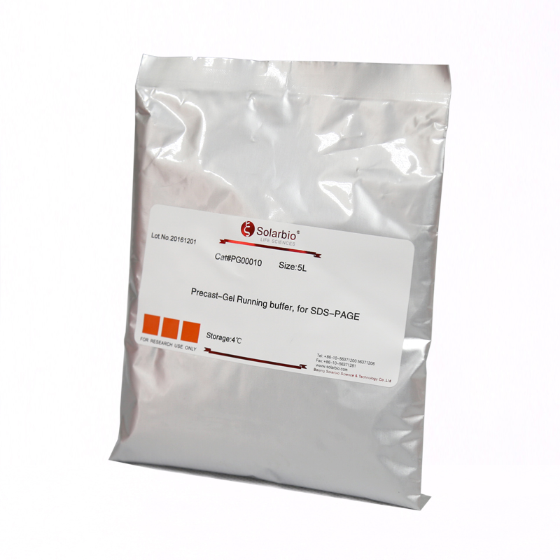 Precast-Gel Running buffer, for SDS-PAGE 5L - 炼石商城