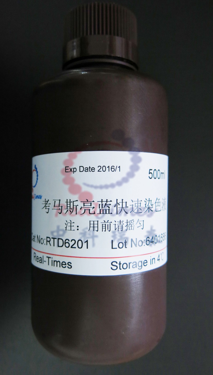 考马斯亮蓝快速染色液 500ml