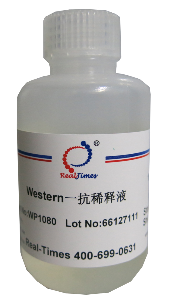 中科瑞泰 wp1080 western一抗稀释液  100ml